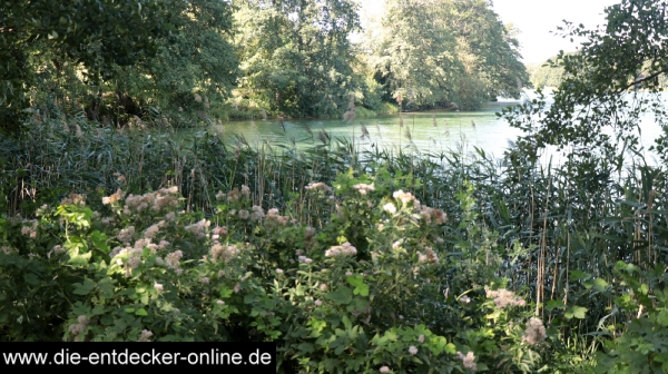 Am Haussee - Tag 1_18