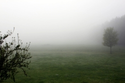Nebel über Dröschkau